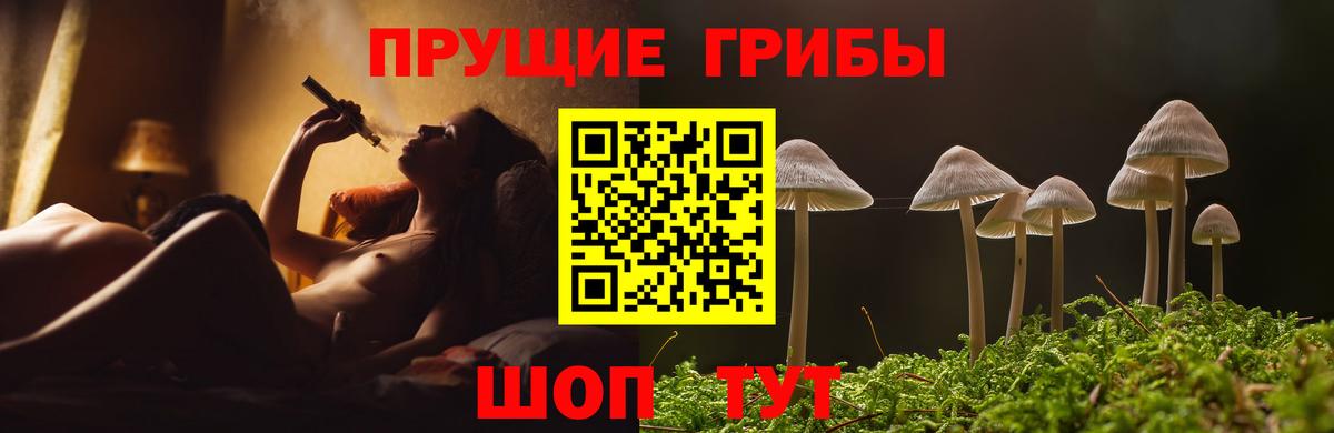 Аксай  Псилоцибиновые грибы мухоморы  Галлюциногенные грибы Psilocybine cubensis  Вход с VPN 